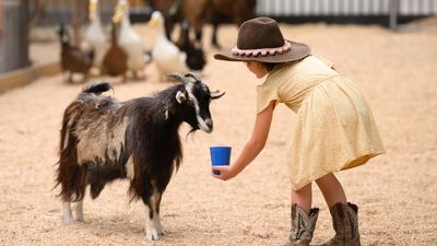 Sydney's Royal Easter Show is expecting record crowds — here's why this family is giving it a miss