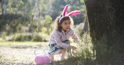 What's on and what's open in Canberra over Easter?