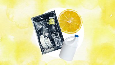 8 dishwasher cleaning mistakes you deffo shouldn’t be making