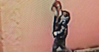 Urgent search for young girl who knocked on door saying 'I'm lost' before running off