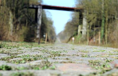 Five-star Arenberg 'too dangerous' due to proximity to start at Paris-Roubaix Femmes, says ASO