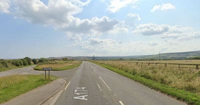 Dog walker fights off 6ft man who 'pulled her to the ground from behind' on country lane