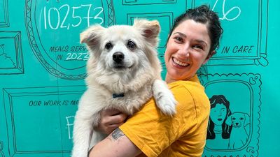 Increasing numbers of people turn to charity to keep pets amid cost of living pressures