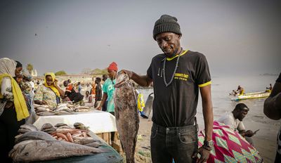 Senegal struggles with loss of fish central to diet, culture