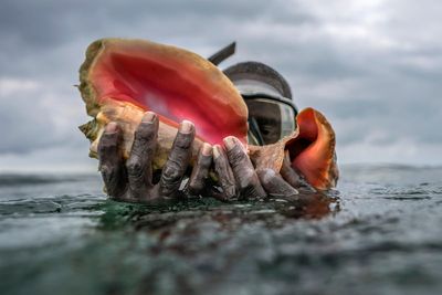 Takeaways from AP report on overfishing's threat to conch