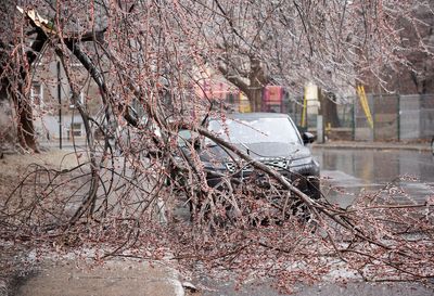 800,000 lose power as freezing rain hits Ontario and Quebec