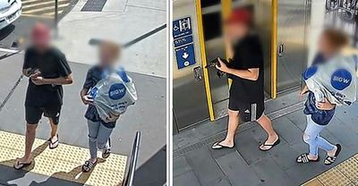 Australian police seek pair seen with platypus on train