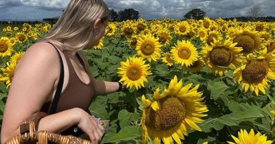 Pick your own flowers on a local farm this weekend