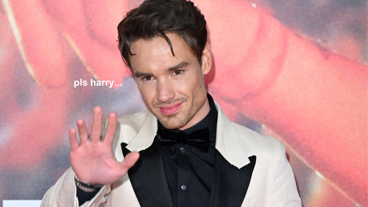 Handsome Squidward AKA Liam Payne Wants A 1D Reunion…