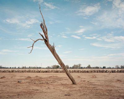 ‘This is the death pit’: Adam Ferguson’s stark and brutal photos of Australia’s outback