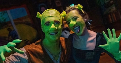 A Shrek themed rave is coming to Dublin and tickets are on sale