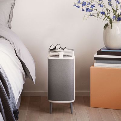 This Scandi-style air purifier looks stylish and improved my respiratory problems