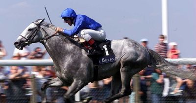 Frankie Dettori pays tribute to fan favourite Daylami after legendary grey racehorse dies