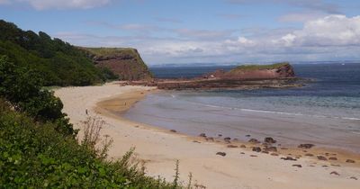 The stunning beach near Edinburgh named one of the UK's best for dog walking