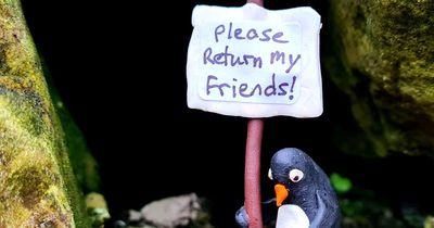 Glaswegians heartbroken as beloved Kelvin Way penguins snatched from home