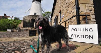 All of the candidates standing for election on Sunderland City Council on May 4