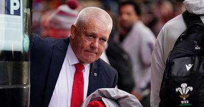 Scotland 'held talks with Warren Gatland' about taking over from Gregor Townsend - reports