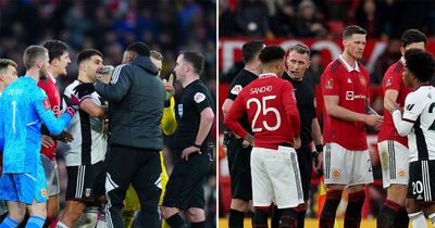 Man Utd belatedly handed FA punishment for Fulham antics after Aleksandar Mitrovic ban