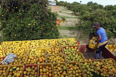 Brazil prosecutors seek $2.5 billion in damages from alleged orange juice cartel