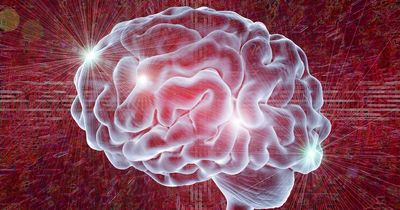 'You can set your brain’s rhythm in order to learn faster'