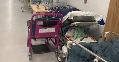 95-year-old left on hospital corridor trolley for 30 hours in scenes 'like war zone'