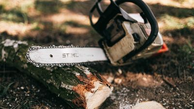 Coroner says 'urgent' reforms are needed to help stop chainsaw-related deaths in Tasmania