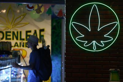 Weed conundrum polarises society ahead of election