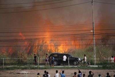 Forest suffers 'worst wildfire in 20 years'