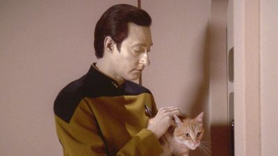Star Trek: Picard’s Brent Spiner Explains Why Working With A Cat Was Easier This Time Around Compared To Data's Spot On The Next Generation