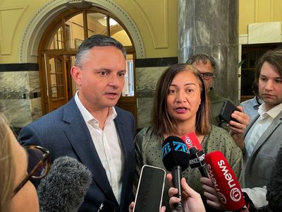 Wrong groupchat horror brings drama to NZ Greens