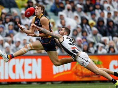 No Showdown strut for Crows with Dockers on the horizon