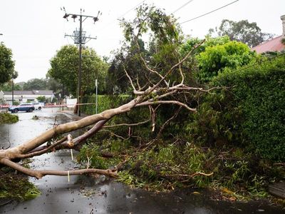 Severe storms, cold temperatures ahead for Easter break