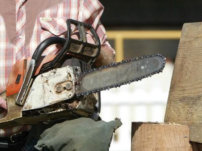 Fatal chainsaw accident prompts call for rules on sale