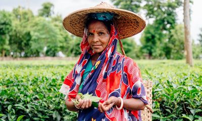 ‘Spreading faster than ever’: Bangladesh’s tea pickers have world’s highest rate of leprosy