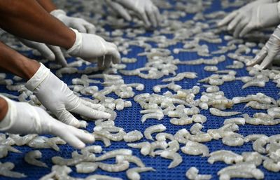 Honduras shrimp industry worried by diplomatic break with Taiwan