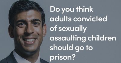 Backlash over Labour ad claiming Rishi Sunak doesn't think paedophiles should be jailed