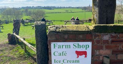 The hidden gem farm shop with stunning views, free outdoor play area and baby emus