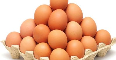 Challenging egg optical illusion puts your IQ to test - and 95 percent will fail it