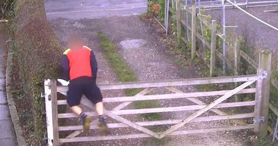 DHL Courier 'scared' by dog flings himself head-first over garden gate