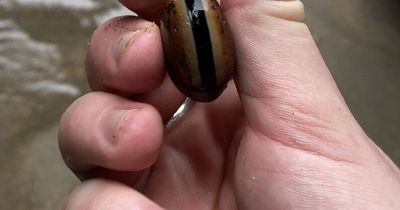 Mystery blob dubbed 'eye of Sauron' leaves hikers 'clueless' after it washes up on beach