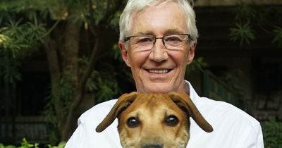 Paul O'Grady: For The Love of Dogs final series start date confirmed by ITV after star's death