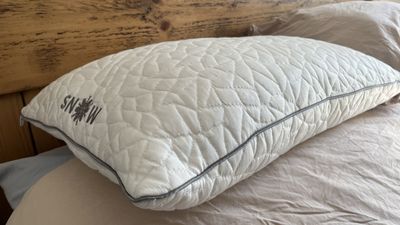 REM-Fit Snow Pillow review: for a cooler head