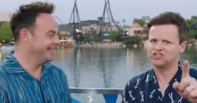 Saturday Night Takeaway's Dec Donnelly rules out Sunderland forfeit for series finale