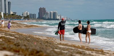 The Great Atlantic Sargassum Belt is carrying a massive bloom of brown seaweed toward Florida and the Caribbean