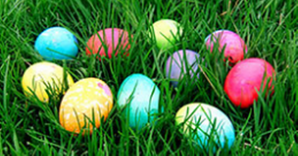 Things to do in Dublin today Familyfriendly and…