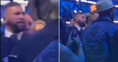 Tony Bellew called out for fight after wading into row after Anthony Joshua bout