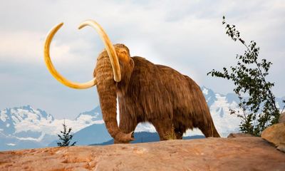 Genetic research sheds new light on woolly mammoth evolution