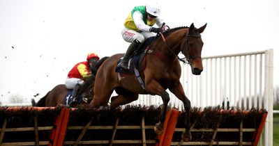 Horse Power: Sam Barton set for victory at Haydock Park