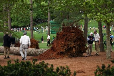 ‘Lucky no one was killed’: Masters suspended as trees collapse near spectators in frightening scenes