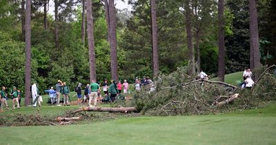 Terrifying scene as giant tree falls down at Masters with spectators running to help